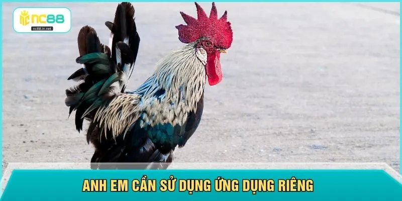 Anh em cần sử dụng ứng dụng riêng