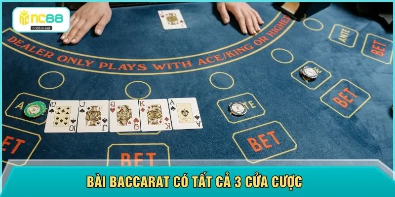 Bài Baccarat có tất cả 3 cửa cược