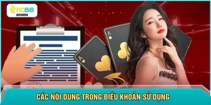 Các nội dung trong điều khoản sử dụng 