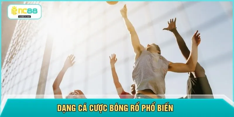 Dạng cá cược bóng rổ phổ biến