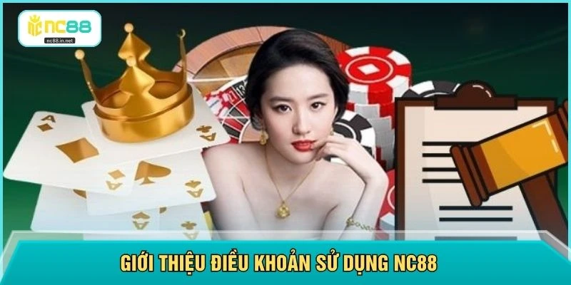 Giới thiệu điều khoản sử dụng NC88 