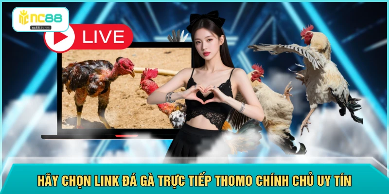 Hãy chọn link đá gà trực tiếp Thomo chính chủ uy tín