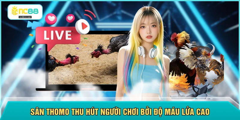 Sân Thomo thu hút người chơi bởi độ máu lửa cao