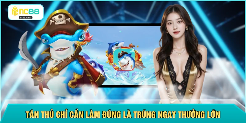 Tân thủ chỉ cần làm đúng là trúng ngay thưởng lớn