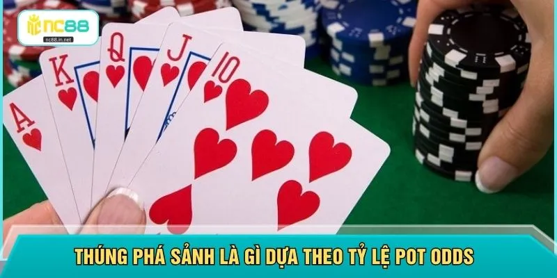 Thúng phá sảnh là gì dựa theo tỷ lệ pot odds